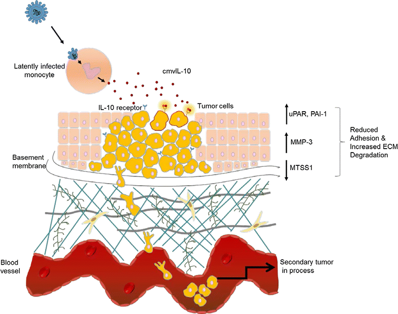 Fig. 6