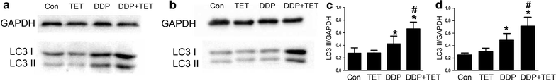 Fig. 7