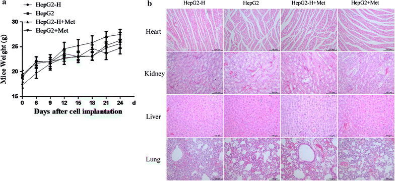 Fig. 4