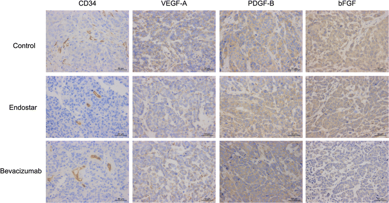 Fig. 13