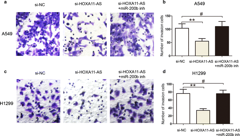 Fig. 6