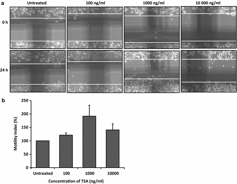 Fig. 7