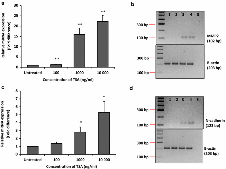 Fig. 9