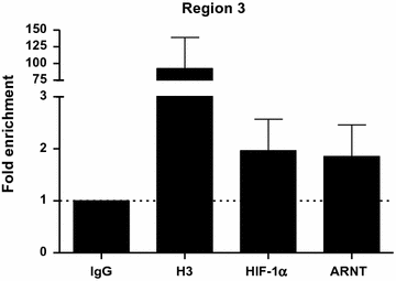 Fig. 6