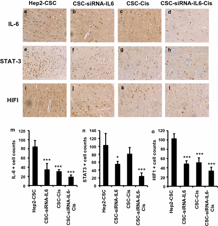 Fig. 7