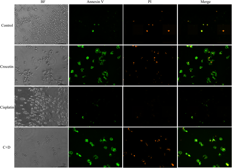 Fig. 2