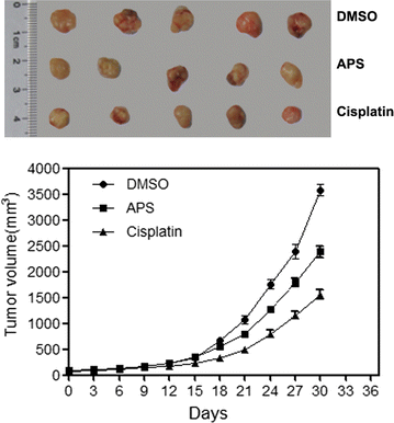 Fig. 2