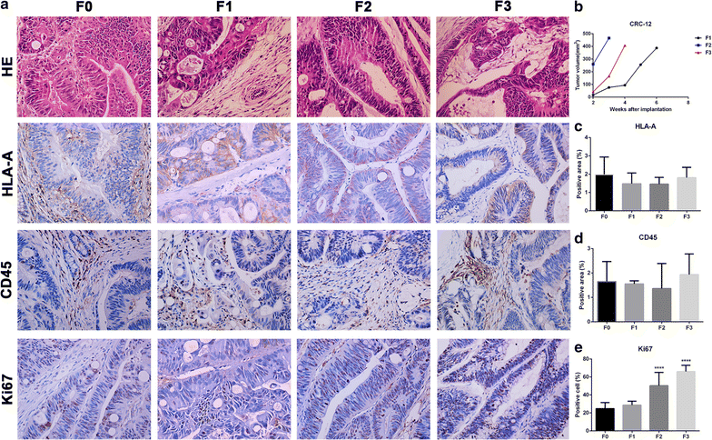 Fig. 6