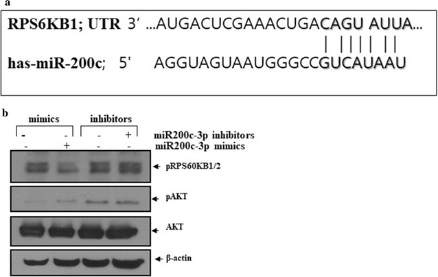 Fig. 5