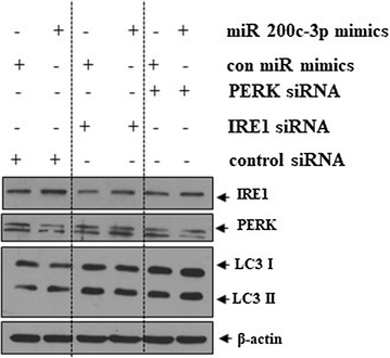 Fig. 7