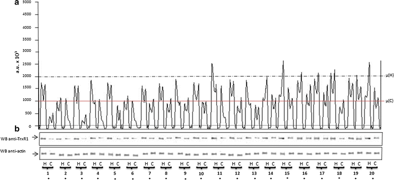 Fig. 2