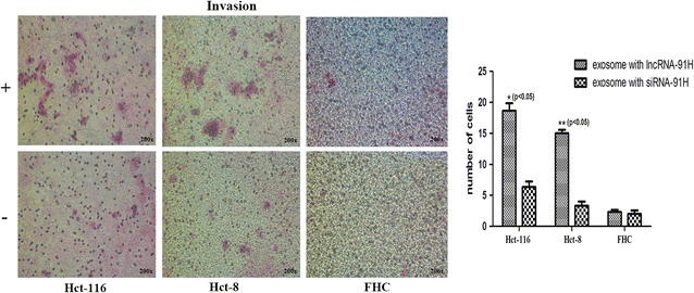 Fig. 6