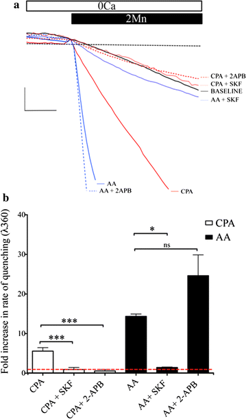 Fig. 2