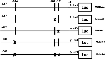 Fig. 1