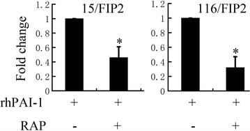 Fig. 8