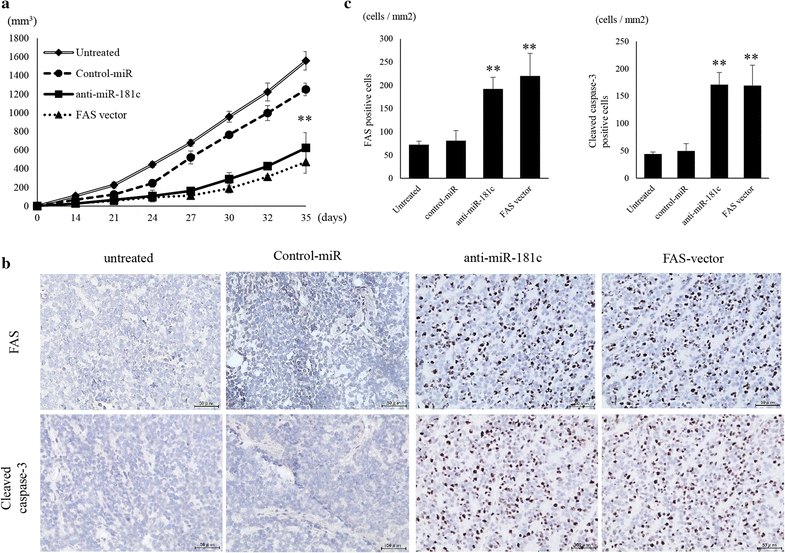 Fig. 6