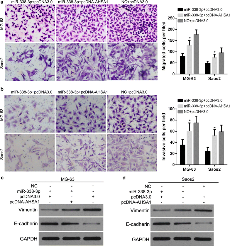 Fig. 8