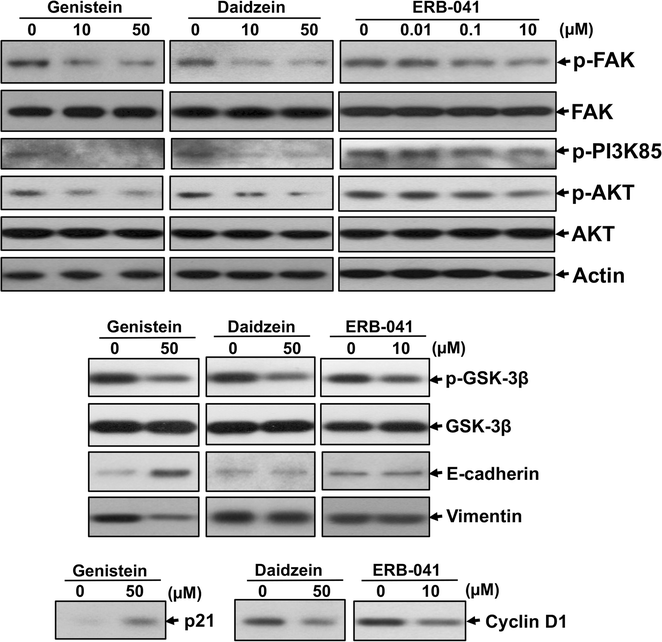 Fig. 9