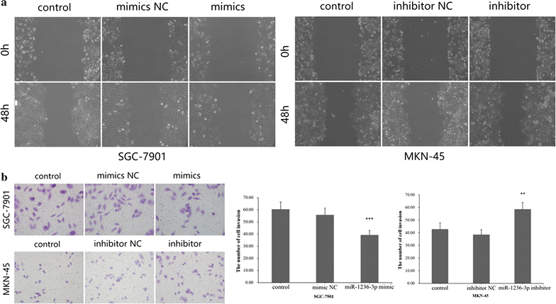 Fig. 3