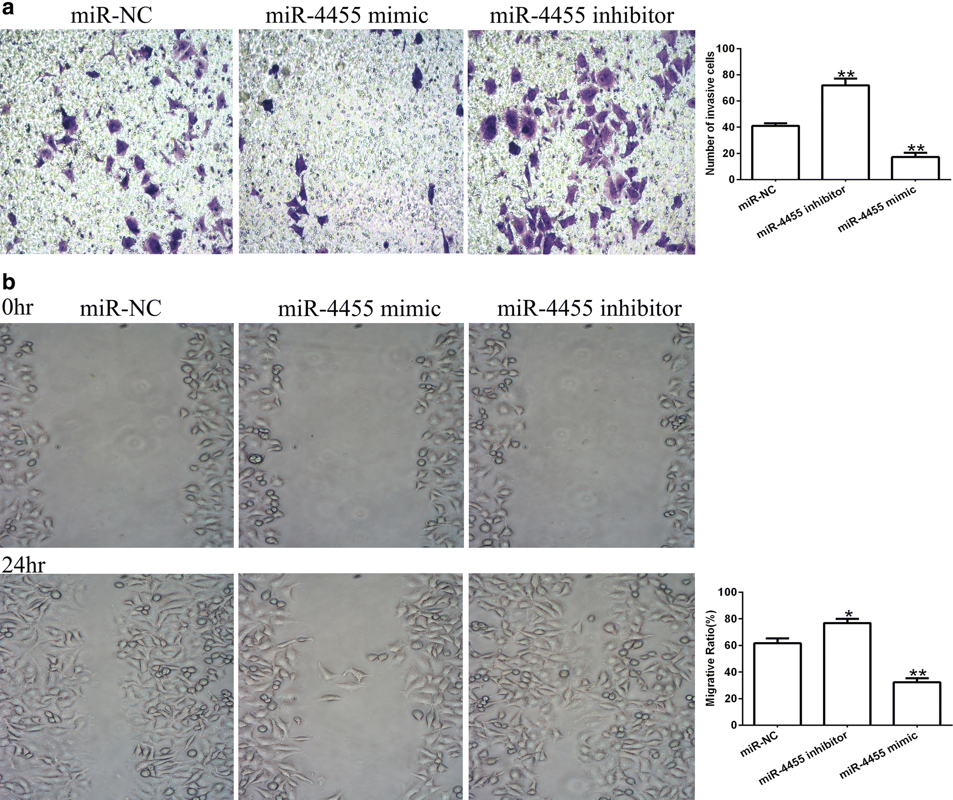 Fig. 3