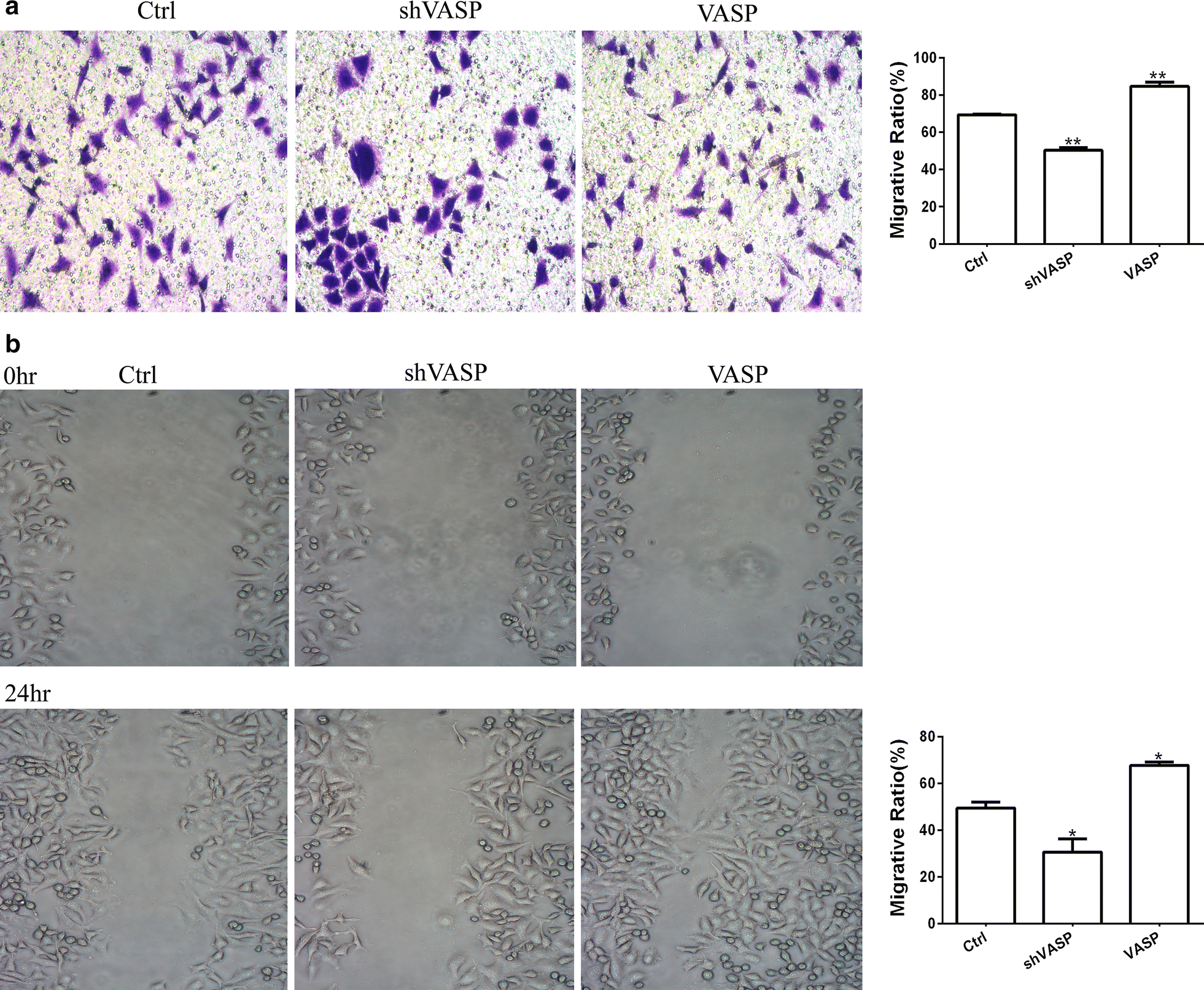 Fig. 6