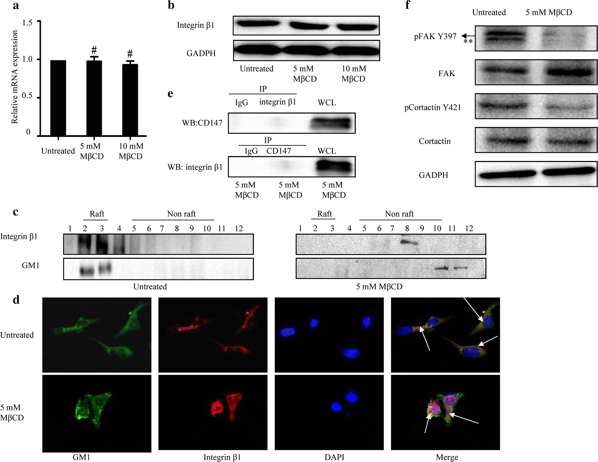 Fig. 6