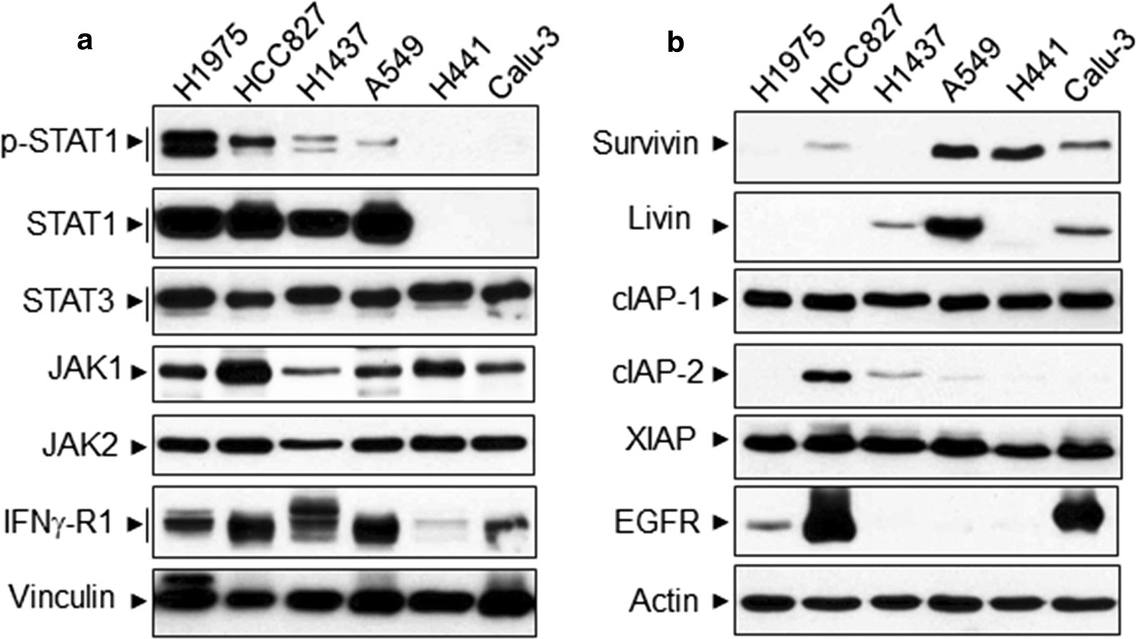 Fig. 7