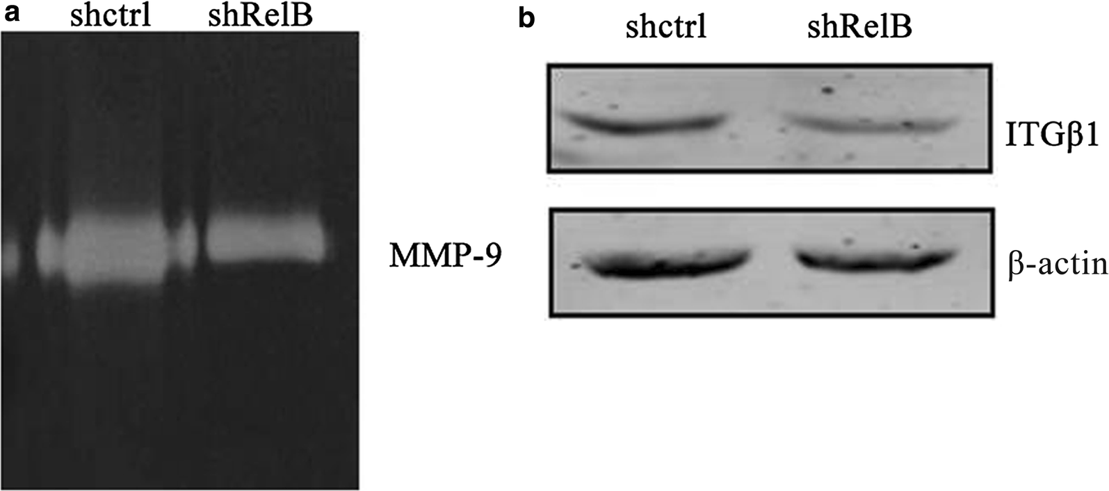 Fig. 6