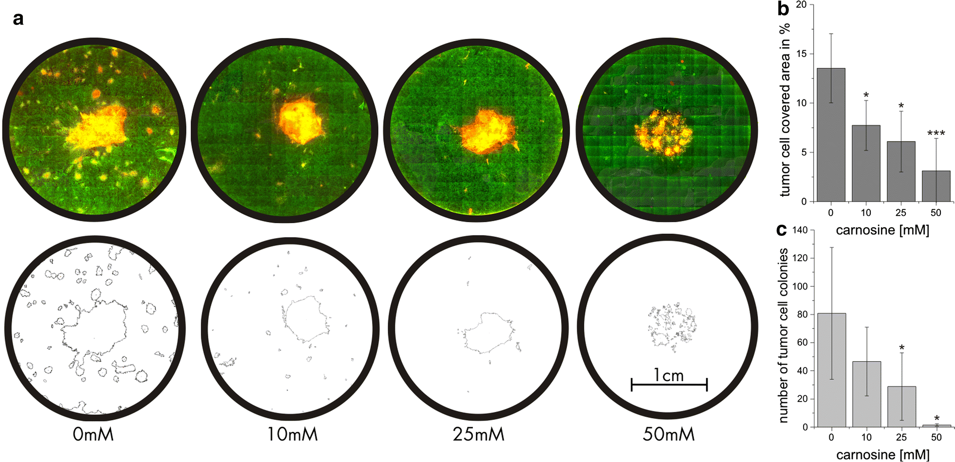 Fig. 6