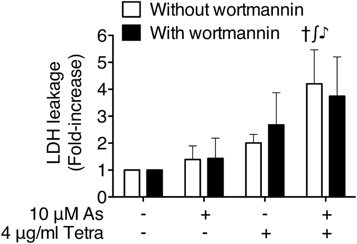 Fig. 4