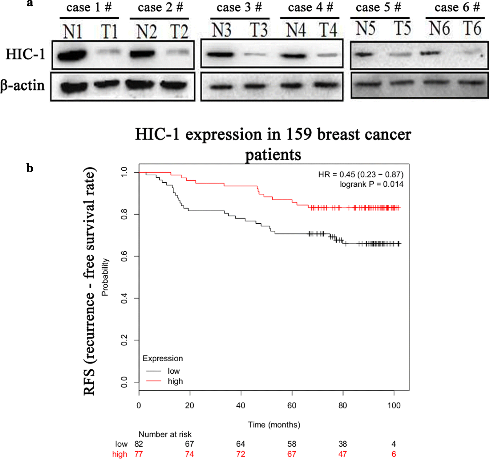 Fig. 6