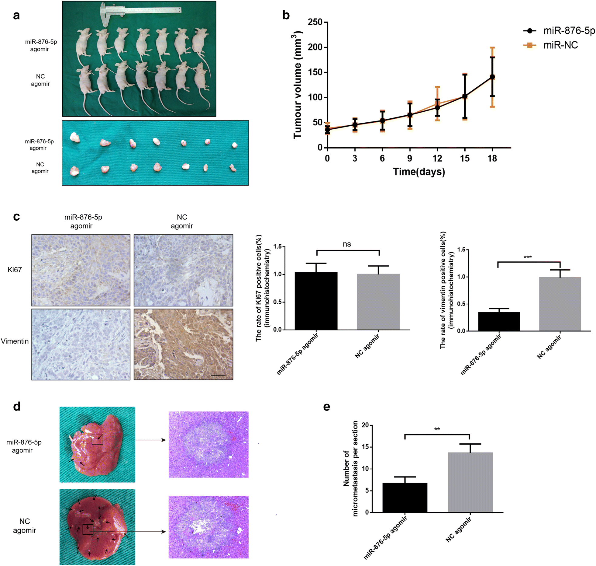 Fig. 6