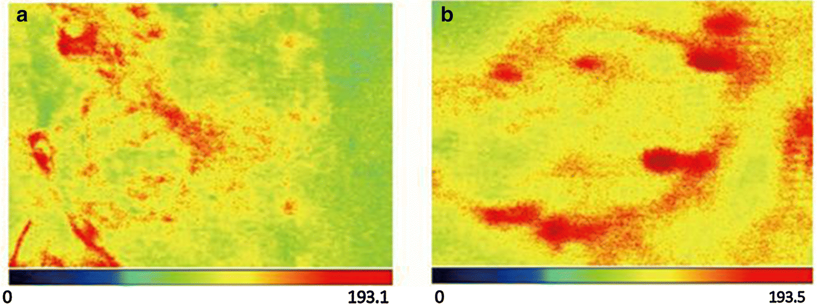 Fig. 2