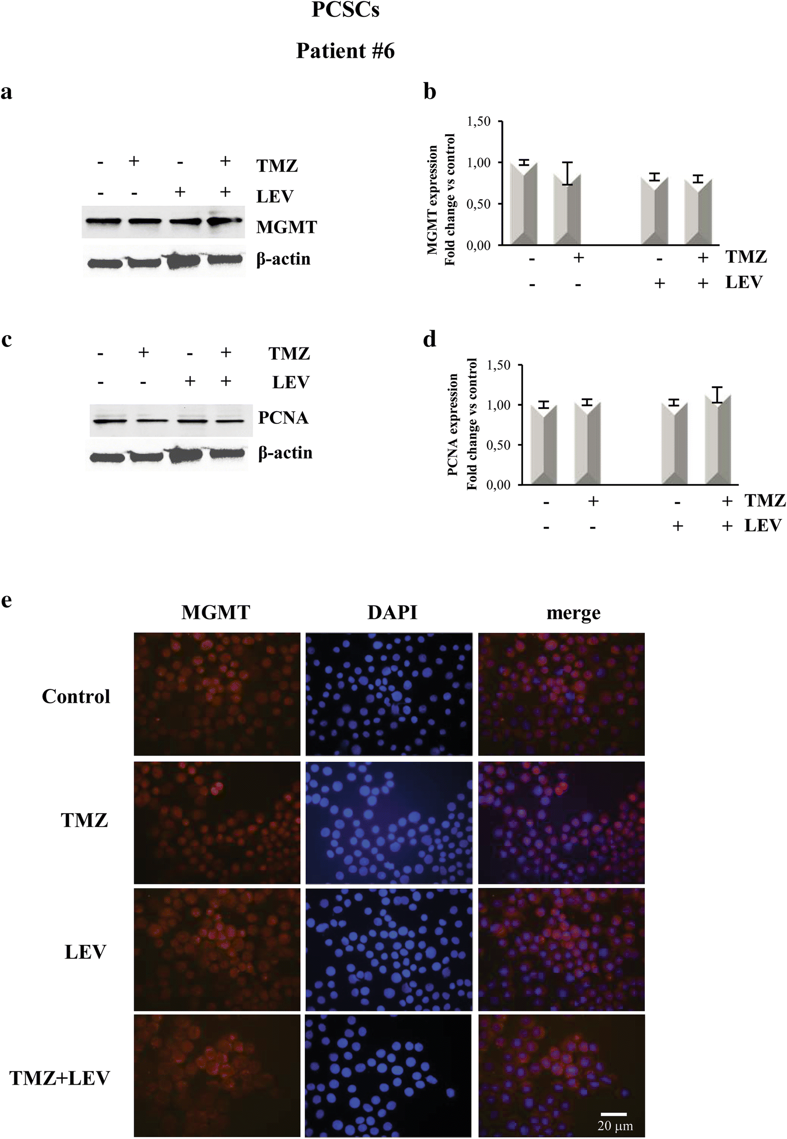 Fig. 5