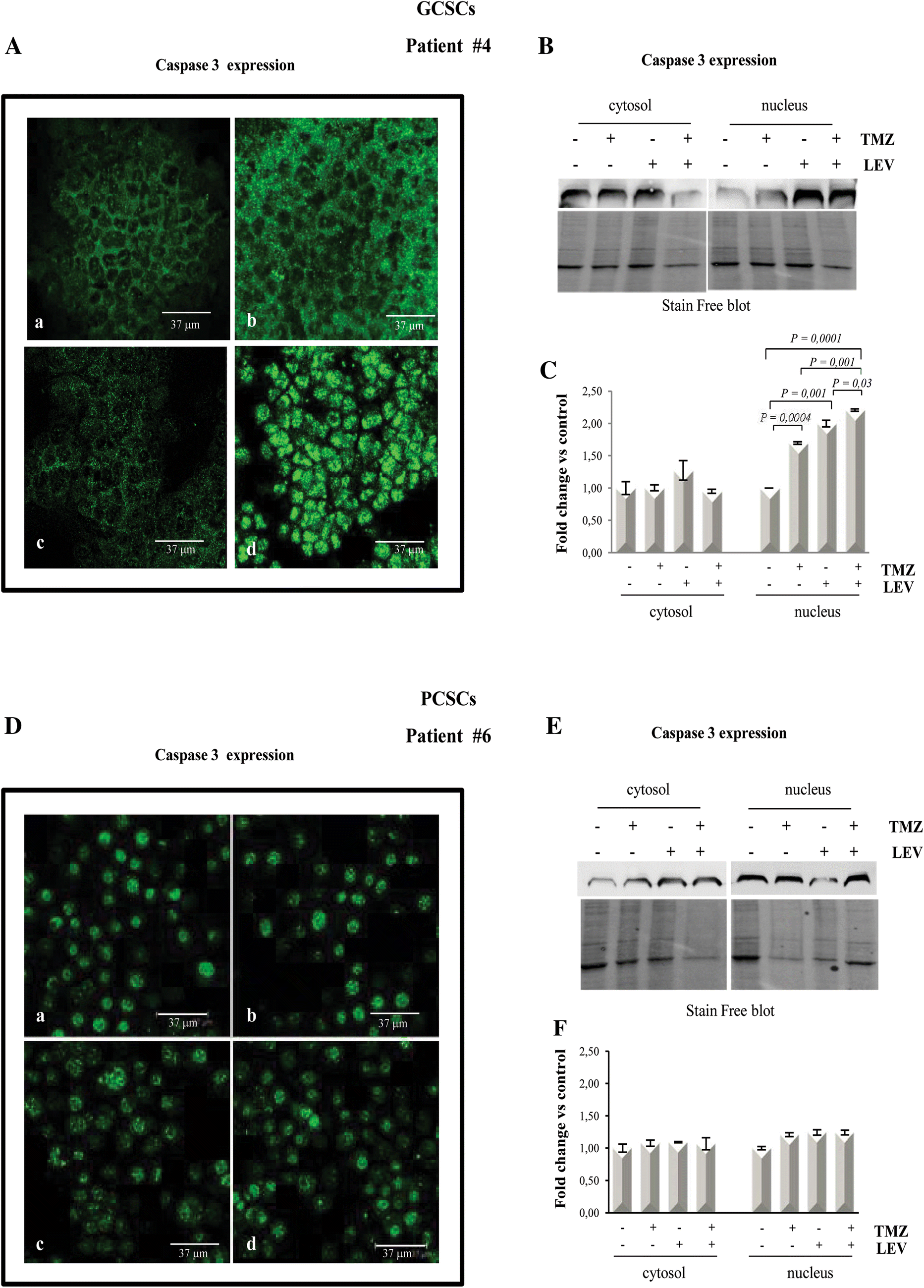 Fig. 7