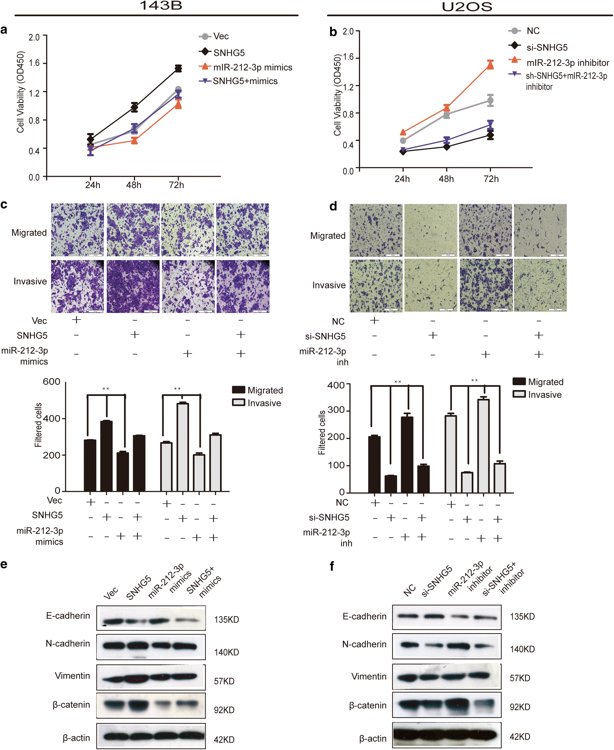 Fig. 5