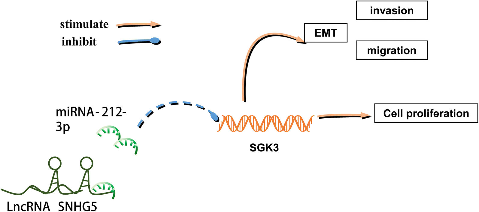 Fig. 7