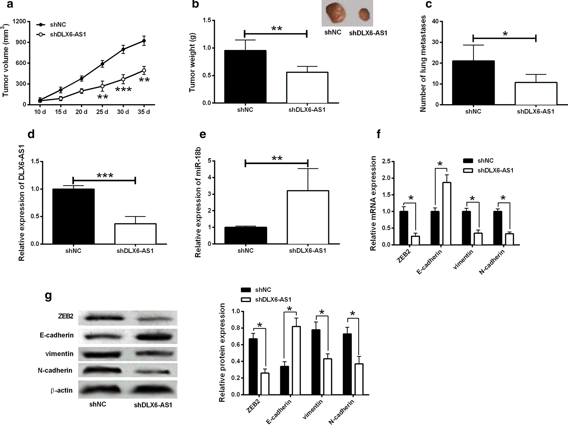 Fig. 6