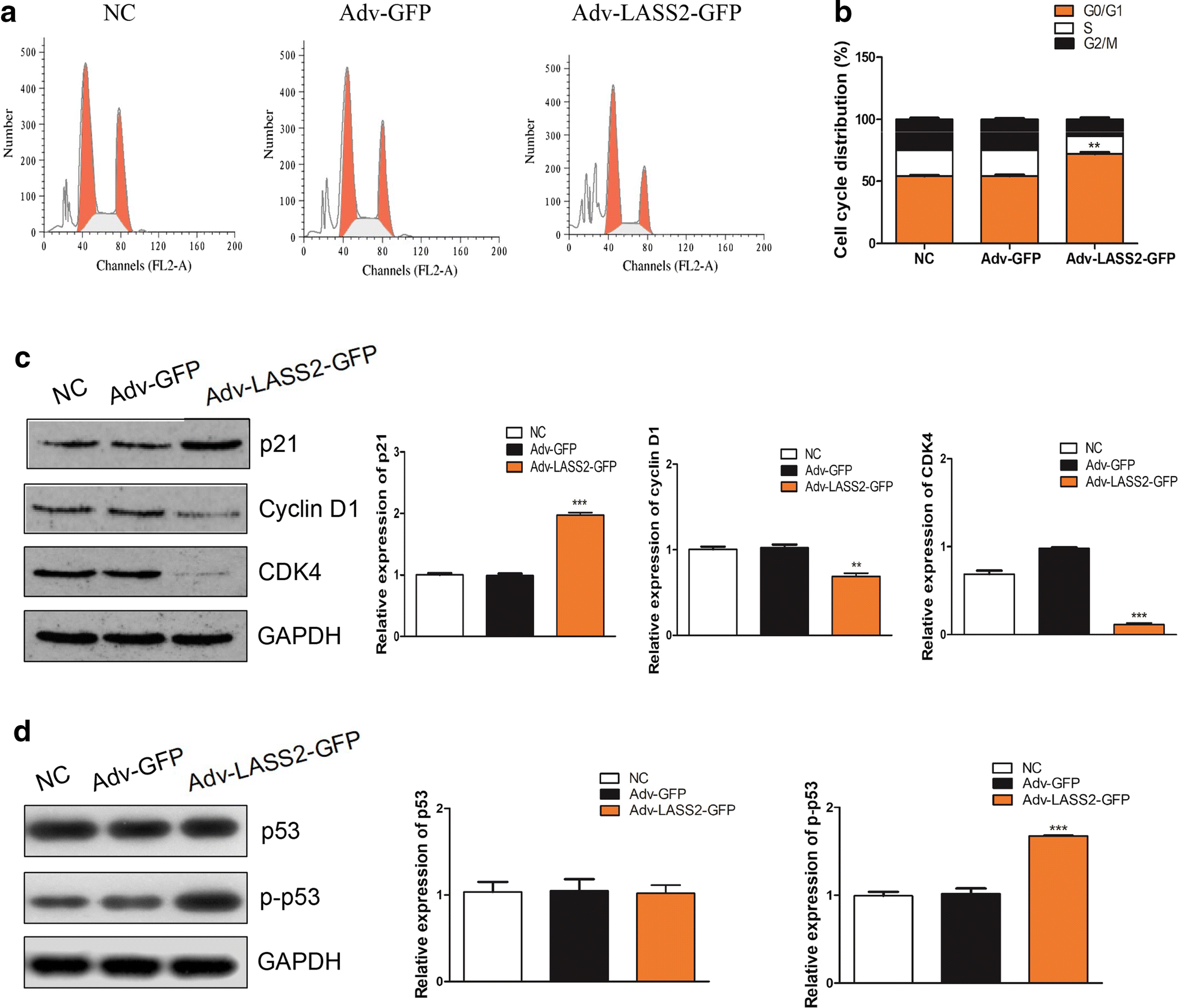 Fig. 3