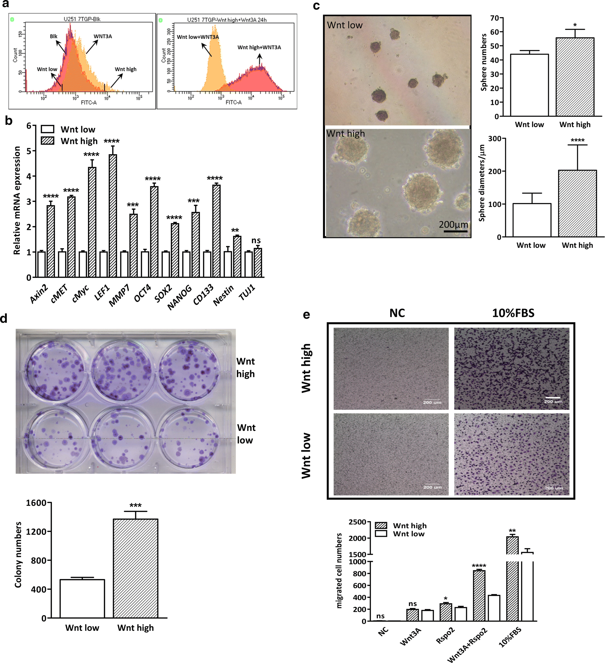 Fig. 5