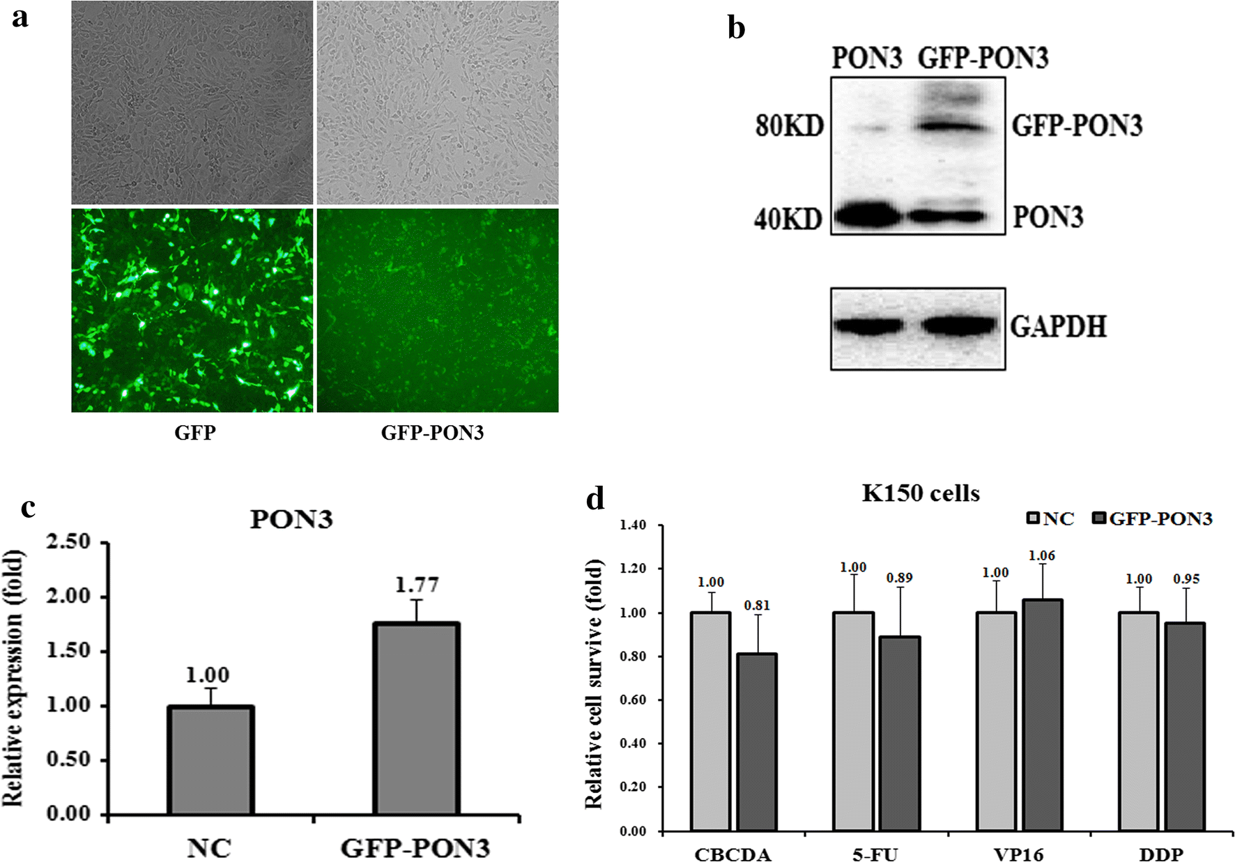 Fig. 4