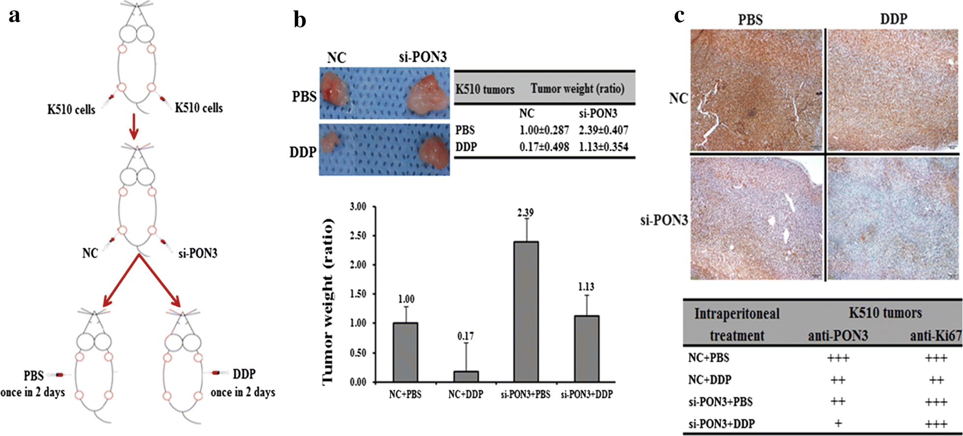 Fig. 7