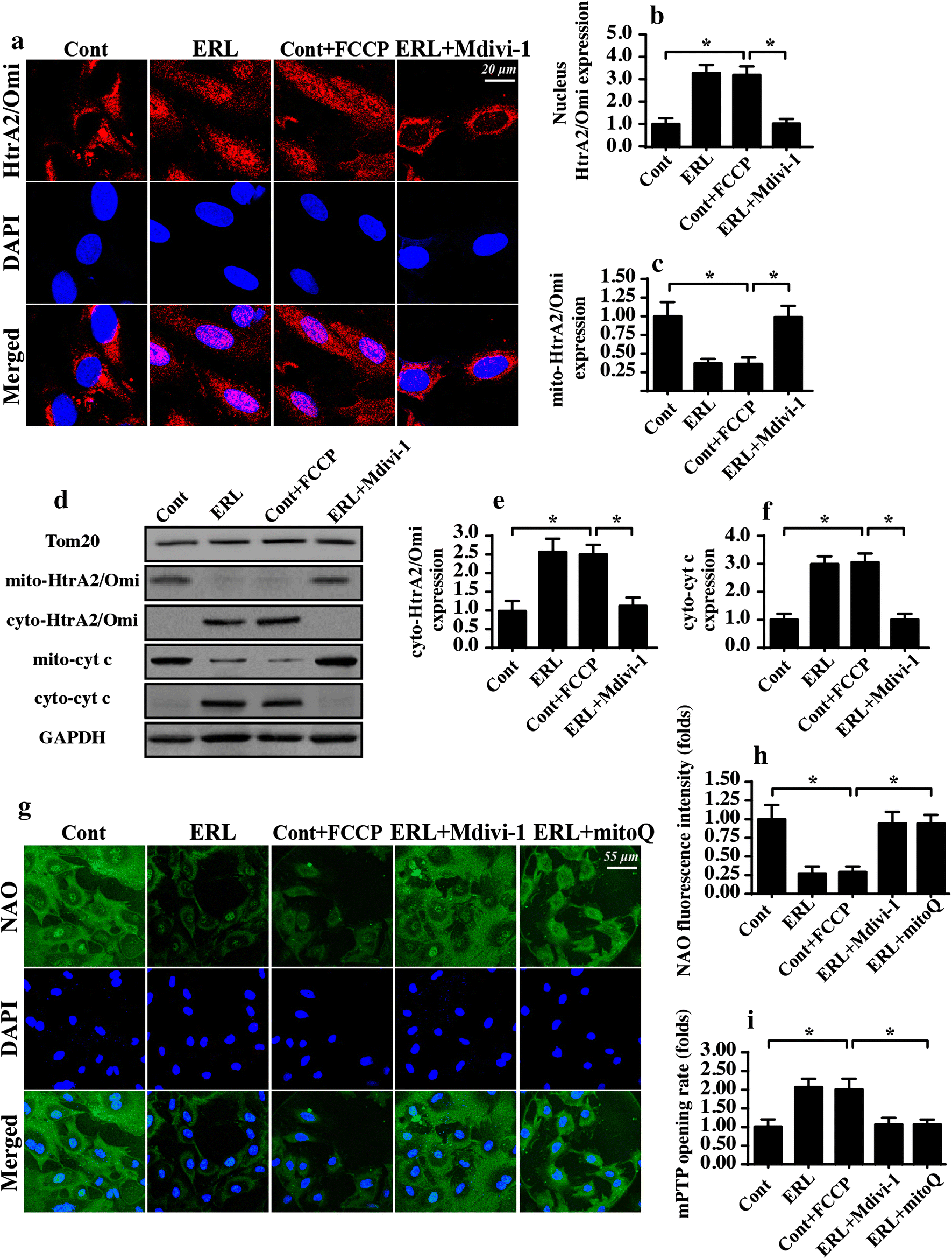 Fig. 4