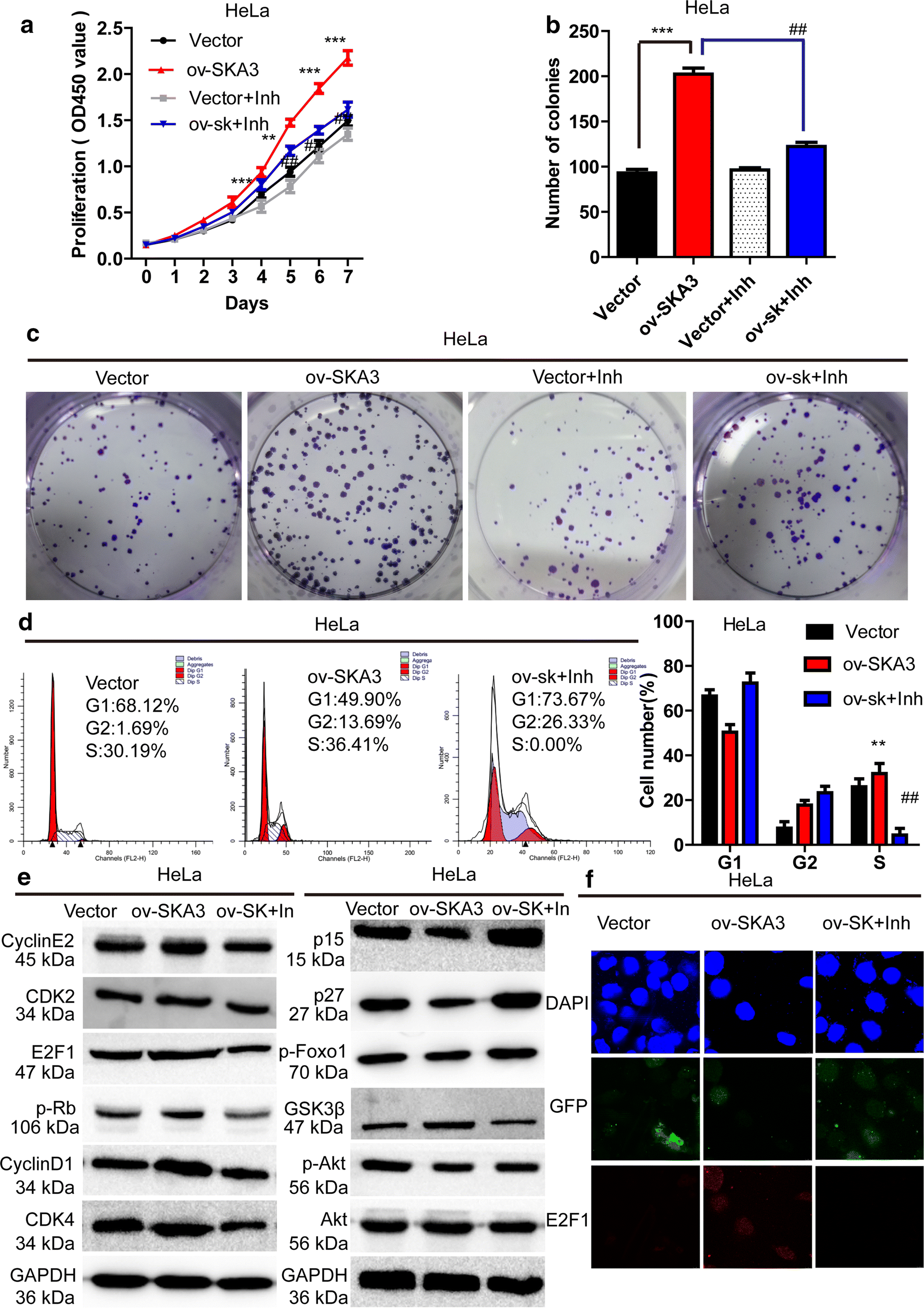 Fig. 6