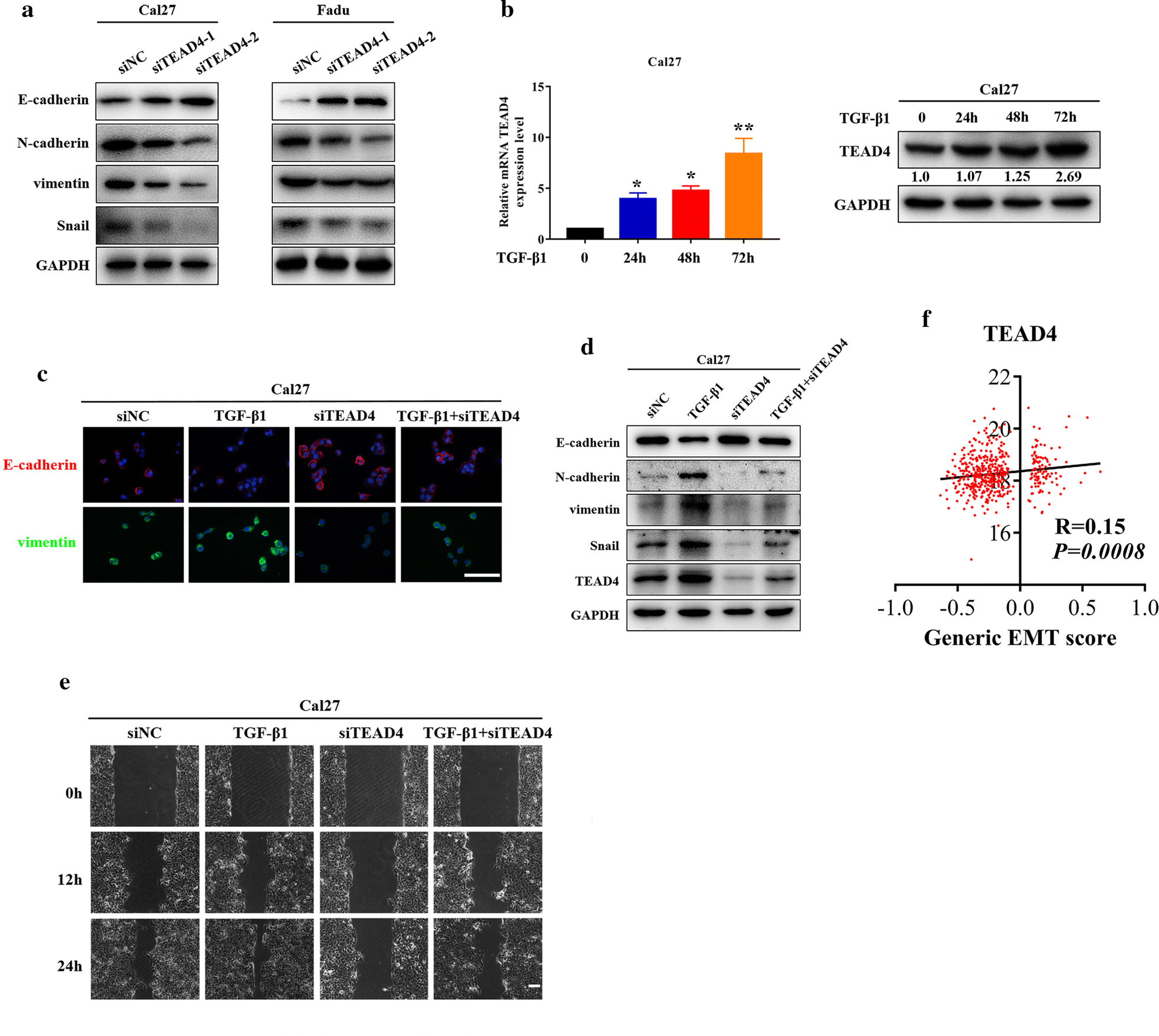 Fig. 7