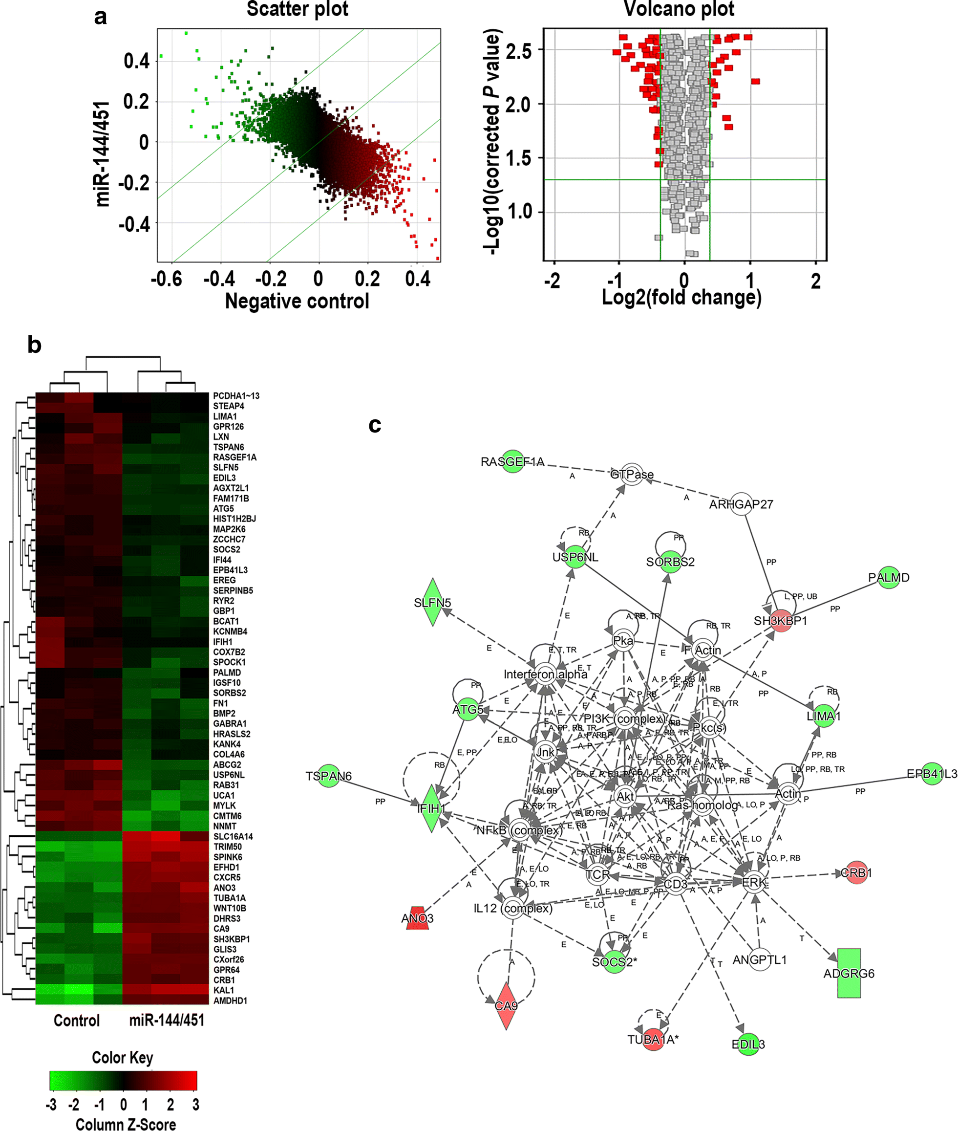 Fig. 3