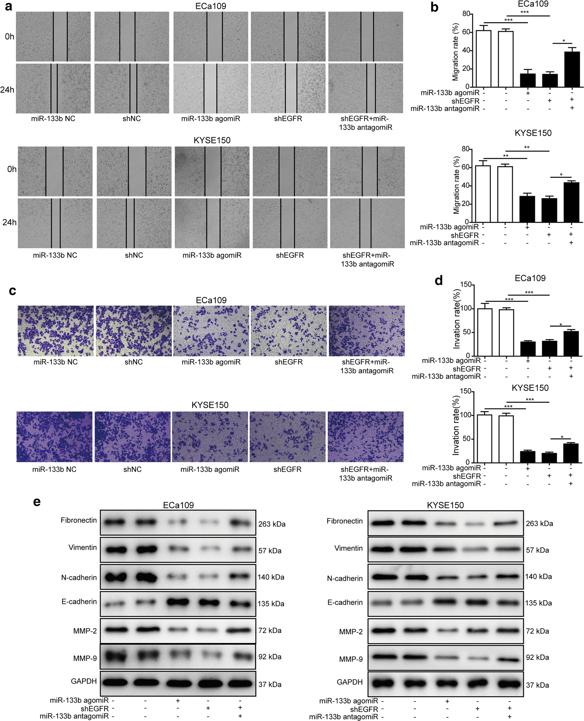 Fig. 5