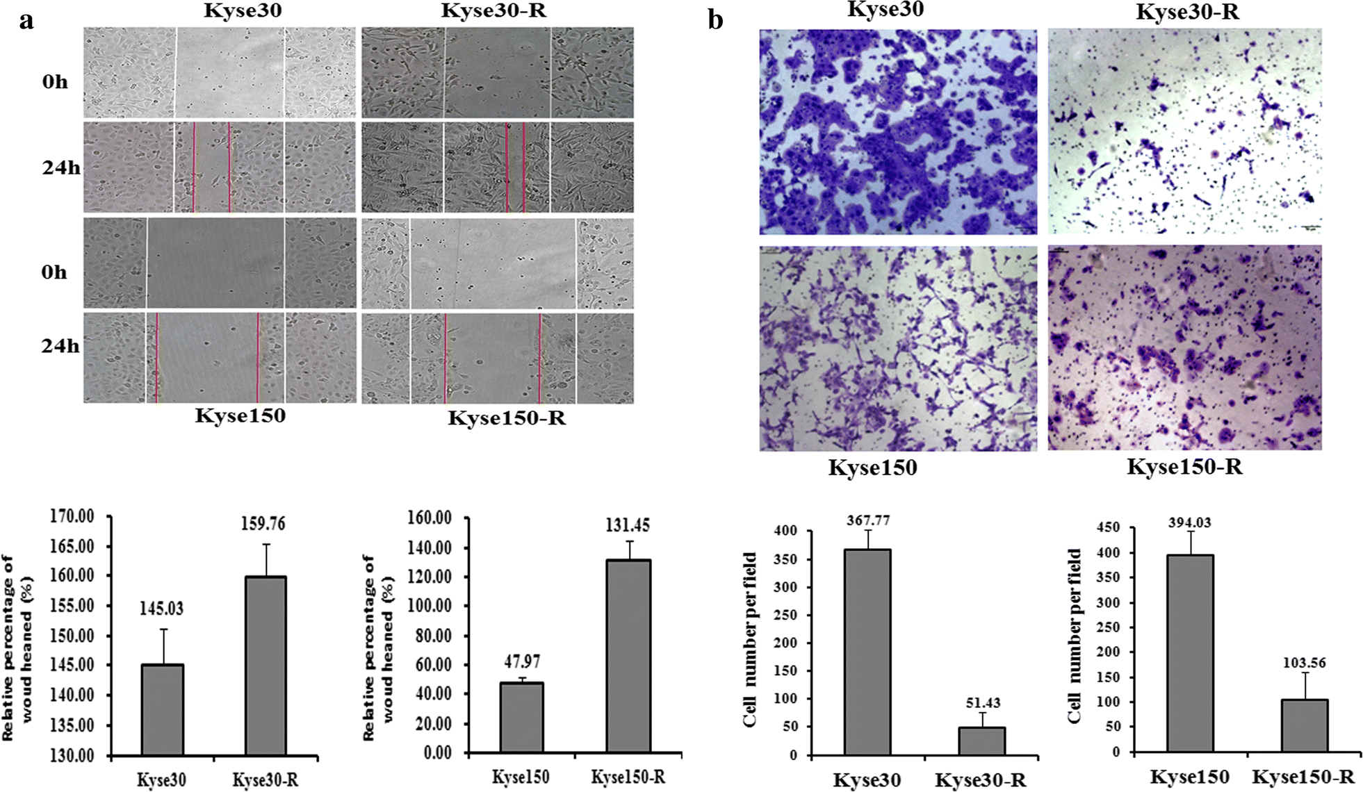 Fig. 2