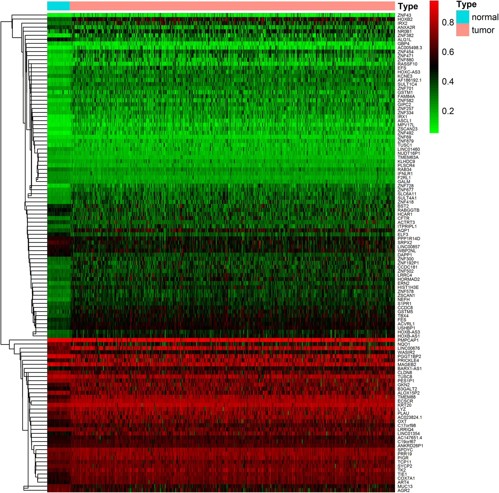 Fig. 1