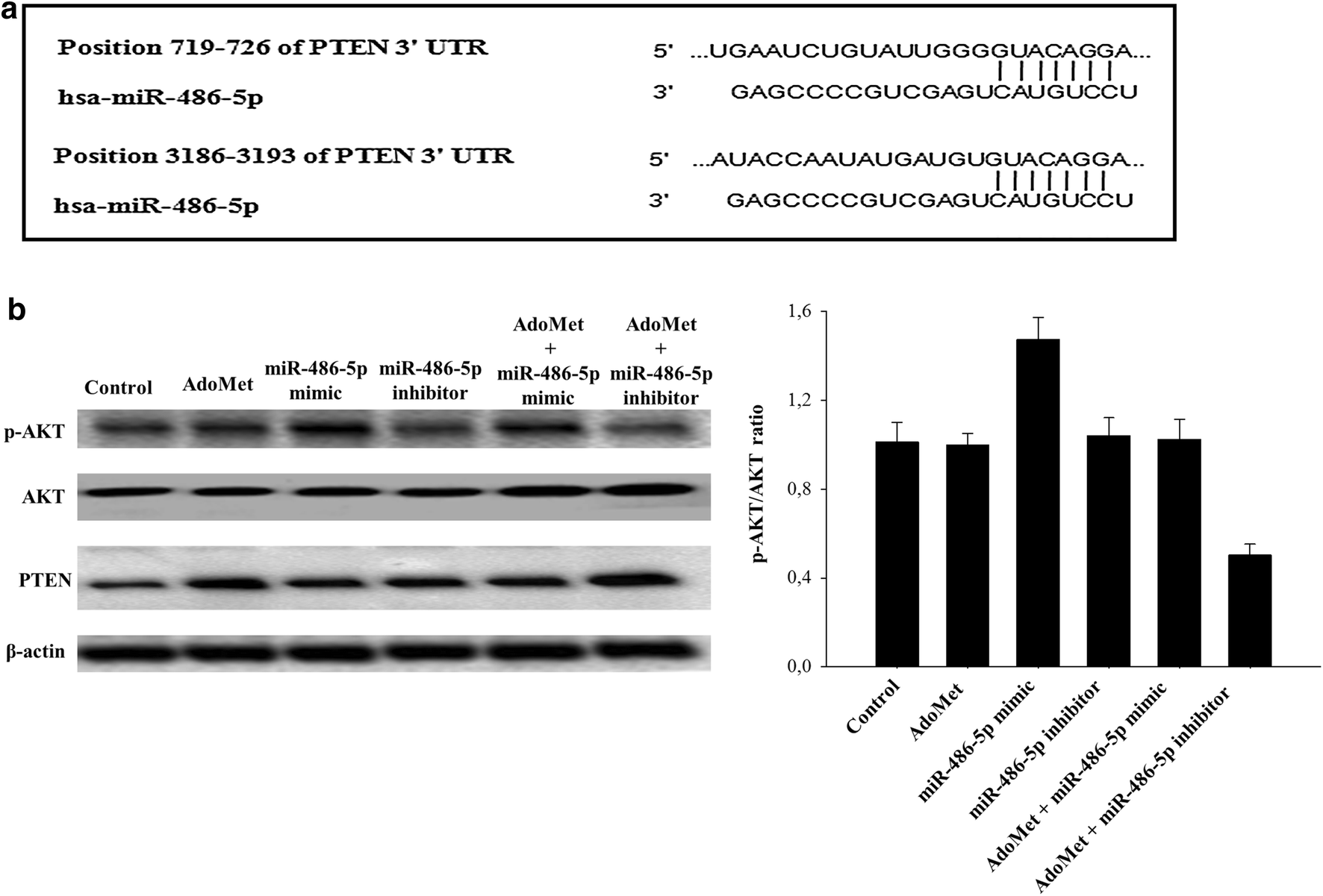 Fig. 6